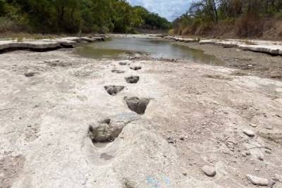 VIDEO: Deja sequía al descubierto huellas de dinosaurio de 113 millones de años en Texas