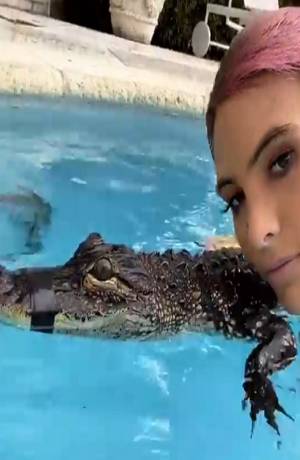 Lele Pons causa polémica al posar con caimán con el hocico amarrado