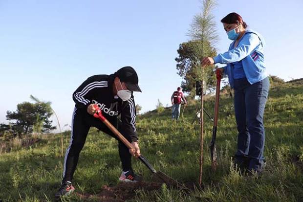 Gobierno de San Pedro Cholula reforesta el cerro Zapotecas