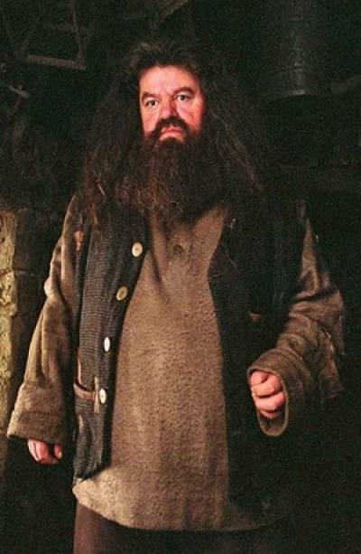Actor que dio vida a Rubeus Hagrid, en Harry Potter, padece...