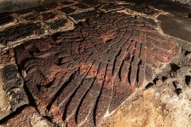 ¿Cómo es el águila real hallada en el Templo Mayor?