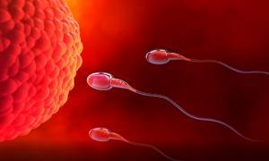 Calidad de los espermatozoides en declive, alertan médicos