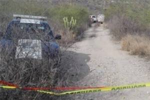 Al menos siete cadáveres han sido hallados en fosa de Miahuatlán