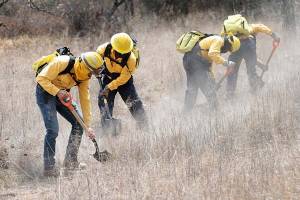 Puebla suma 63 incendios forestales en lo que va de 2022