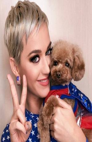 Katy Perry, la mejor pagada en la industria musical para Forbes