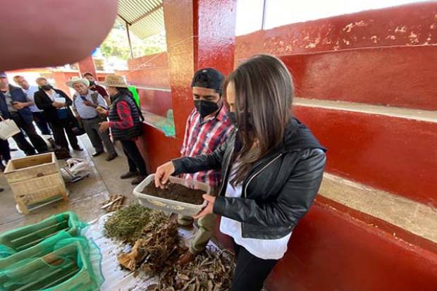 Ayuntamiento de Zacatlán capacita a productores en aprovechamiento de residuos orgánicos