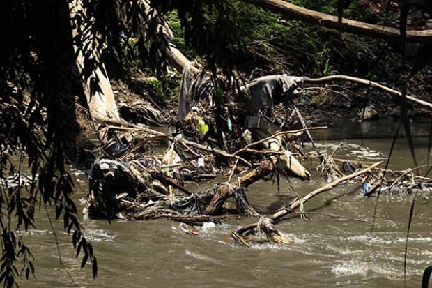 Lamentable que no se atiendan recomendaciones sobre contaminación del río Atoyac: especialistas
