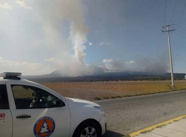 Puebla segundo lugar con más incendios forestales en el primer bimestre del año: Conafor