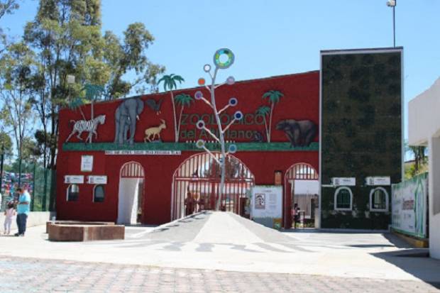 Leona atacó a cuidadora del zoológico del Altiplano en Tlaxcala