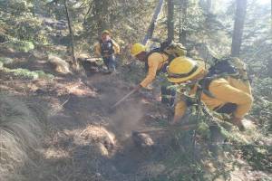 Tetela de Ocampo registra la mayor superficie dañada por incendios forestales