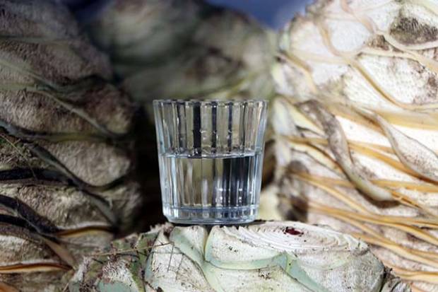 Mezcal de Puebla se venderá en Colombia: SDR