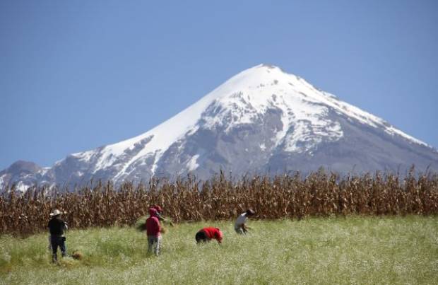 Mueren dos ejidatarios poblanos combatiendo incendio en el Pico de Orizaba