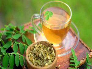 ¿Qué tan bueno es el té de moringa?