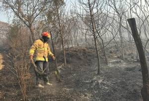 Exhorta Gobierno de Texmelucan a la ciudadanía a evitar incendios forestales