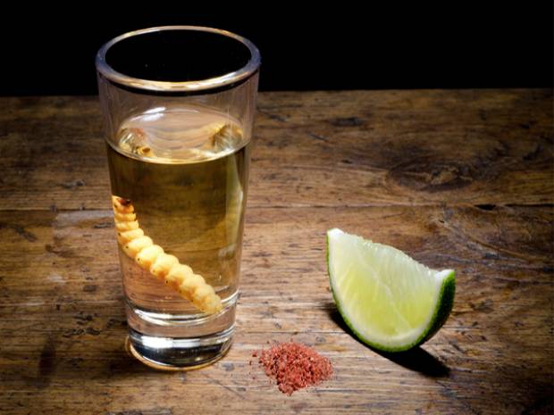 Los 5 beneficios de tomar mezcal