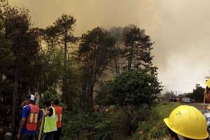 Puebla registra 11 incendios forestales a la semana: Conafor