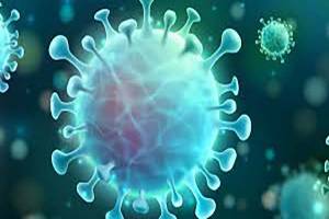 Científicos hallan bacteria que acabaría con las infecciones por COVID-19