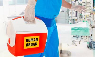 ¿Cómo tratan los médicos el cuerpo de una persona donante?