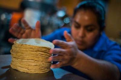 Ley impulsada por Morena disparará precio de la tortilla de 15 a 60 pesos