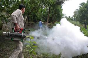 Detectan nuevo mosco transmisor del dengue en México