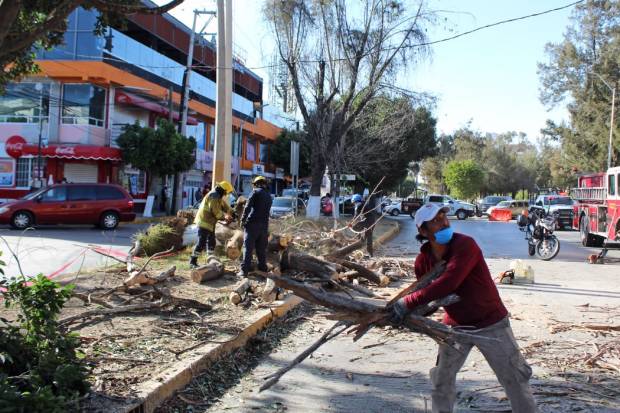Cae un árbol sobre motociclista en el bulevar del Niño Poblano