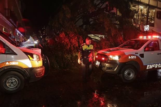 VIDEOS: Un menor muerto y una mujer lesionada deja caída de árbol en el centro de Puebla