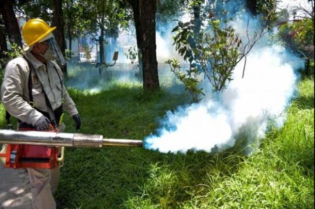 Bajan 86% en Puebla casos de dengue