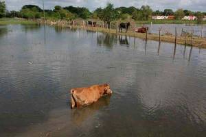 Habitantes de Tabasco cumplen 7 semanas inundados