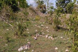 Ahora hallan 2 mil vestigios arqueológicos en ruta del Tren Maya
