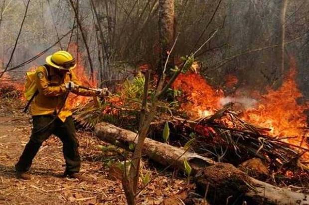 México suma 61 incendios forestales activos
