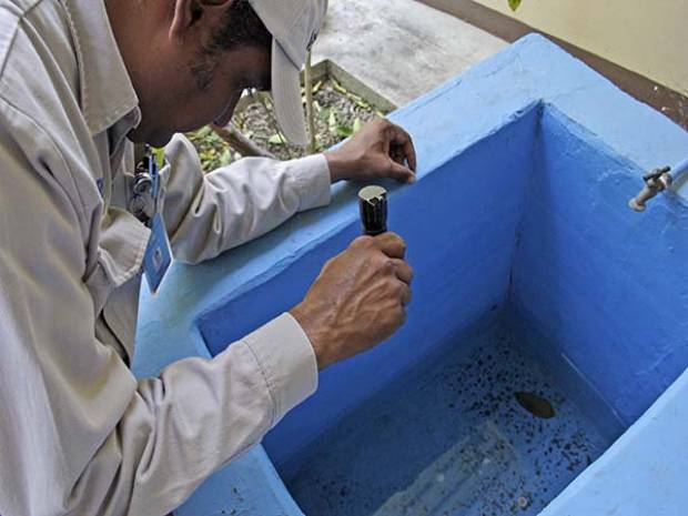 Coaxcatlán y Acateno concentran casos de dengue en Puebla