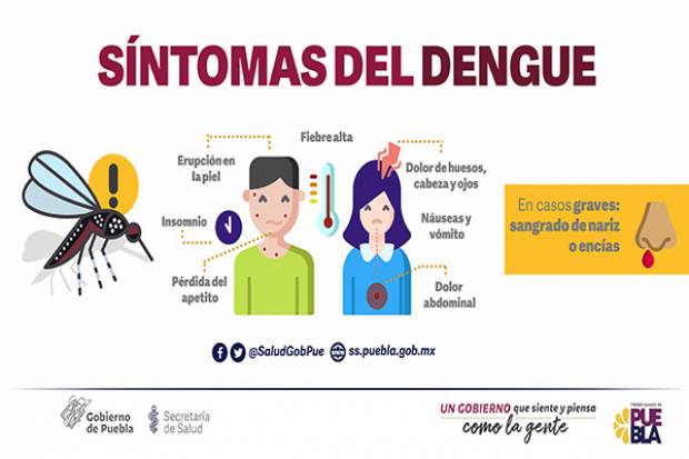Puebla registra 77 casos de dengue; hay tendencia a la baja