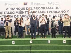 El campo, prioridad del gobierno de Puebla: Céspedes Peregrina