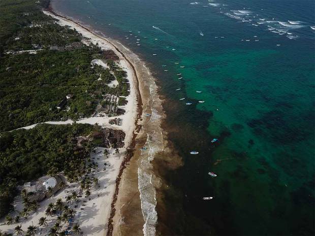 Sargazo ahuyenta a turistas de las costas de Quintana Roo