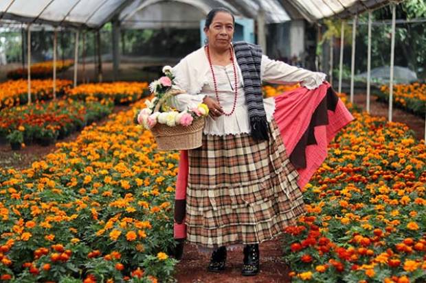 Atlixco, Puebla, el paraíso nacional de la flor de cempasúchil