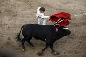 Otra vez buscan prohibir corridas de toros en Puebla