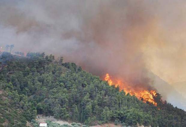 Van 364 incendios forestales en Puebla en 2018: Conafor
