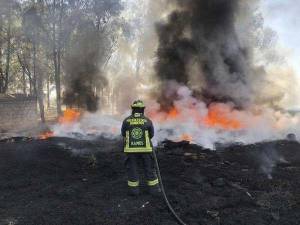 Mil 223 incendios de pastizales ha atendido Bomberos en Puebla este año
