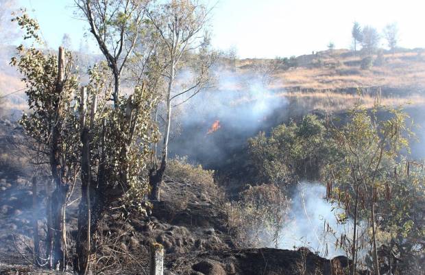 Aumentan 50% los incendios forestales en Puebla durante 2021