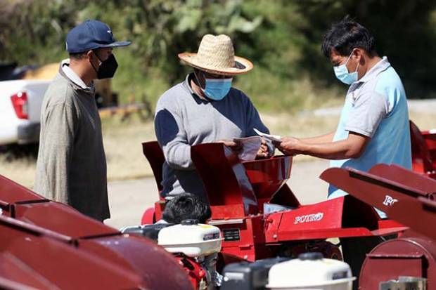 Gobierno de Puebla impulsa mejora en cultivo de maíz