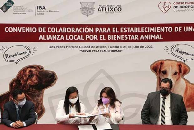 Atlixco pacta alianza con el gobierno estatal a favor del bienestar animal