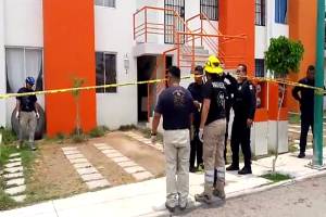 Pitbull atacó y mató a niña de 4 años de edad en Tehuacán