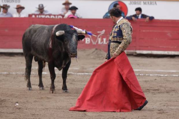 PAN prepara iniciativa para prohibir corridas de toros en Puebla