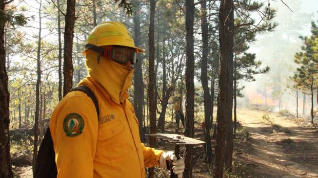 Puebla, cuarto lugar en número de incendios forestales en este 2019