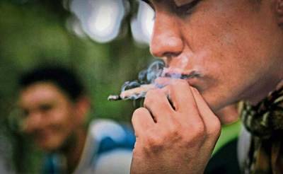 Despacho jurídico tramita 200 permisos para uso lúdico de mariguana