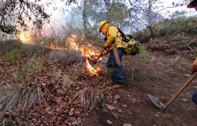 Estos son los municipios de Puebla con más incendios forestales