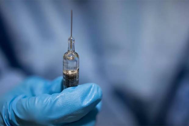 Salud: México contaría con su vacuna anti COVID-19 este año