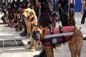 20 binomios caninos ya evitan ingreso de drogas y armas a los Ceresos de Puebla