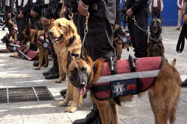 20 binomios caninos ya evitan ingreso de drogas y armas a los Ceresos de Puebla