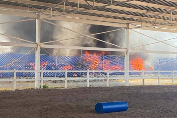 Incendio alcanzó Centro Municipal de Equinoterapia; sólo daños en malla ciclónica